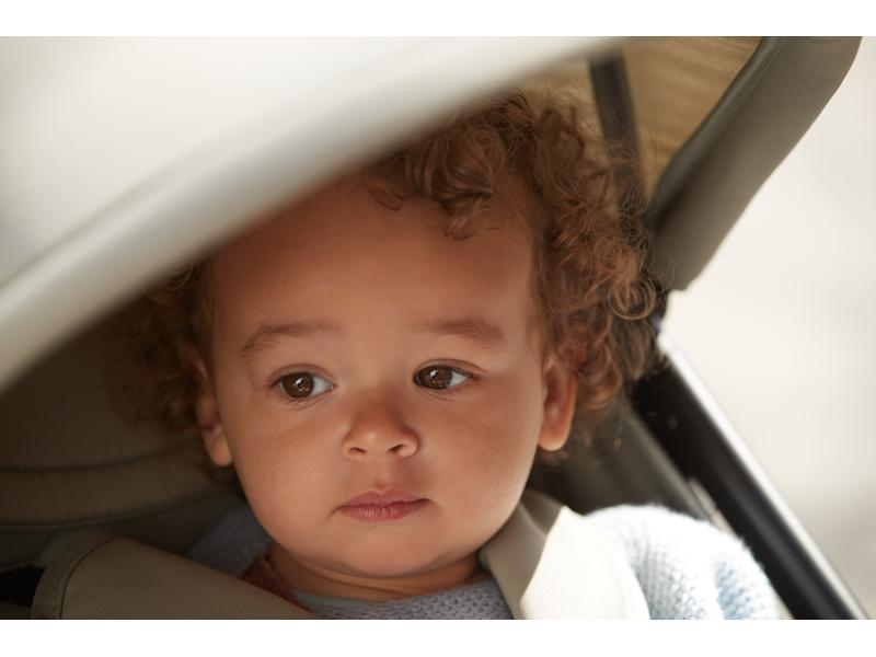 Hauck Buggy Travel N Care Plus Cork Kompakter Kinderwagen mit falt- und tragbarem Buggy