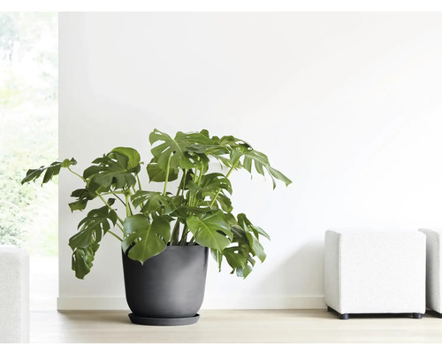 Ecopots Oslo kunststof bloempot, Ø 42,6 cm, 45 x 45 x 39,4 cm, donkergrijs