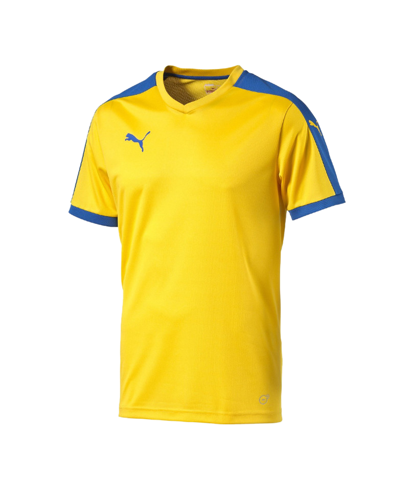 PUMA Pitch Shortsleeved Shirt Trikot Kids Gelb F20