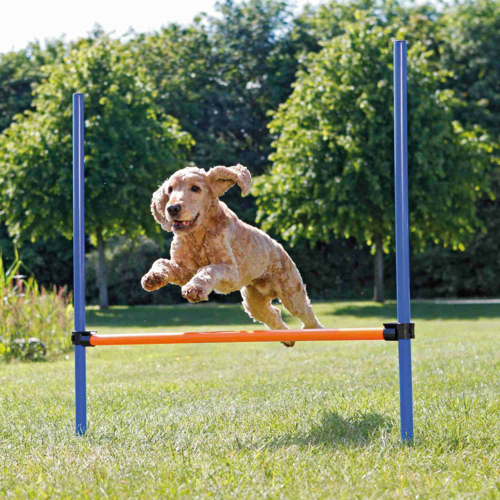 Obstacle agility pour chien 123 × 115 cm, ø 3 cm