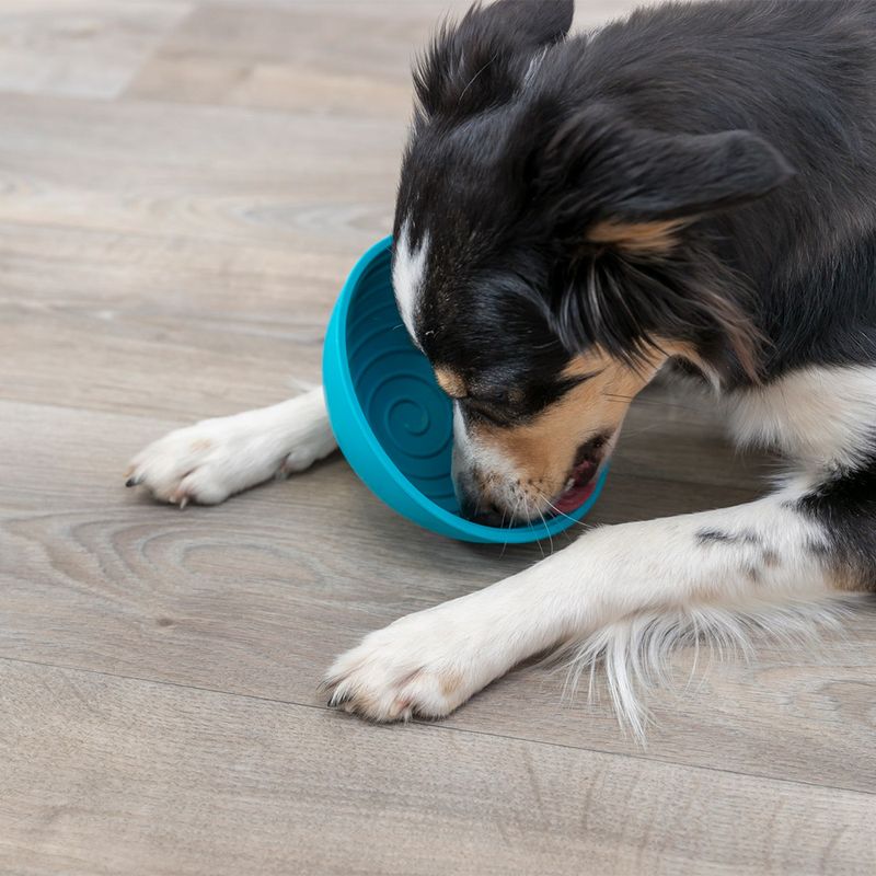Gamelle Trixie Lick'n'Snack pour chien et chat