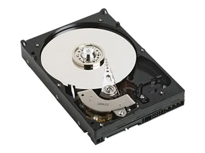 Dell - Harddisk - 4 TB - intern - 3.5