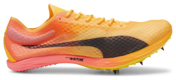 Chaussures Athlétisme Puma evoSPEED Distance Nitro Elite  4 Orange Rose Homme