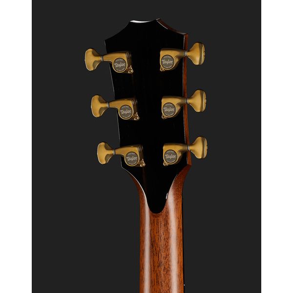 Taylor PS12ce 12 Fret Honduran RW