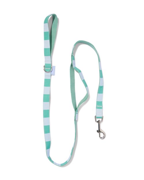 laisse chien 120 cm