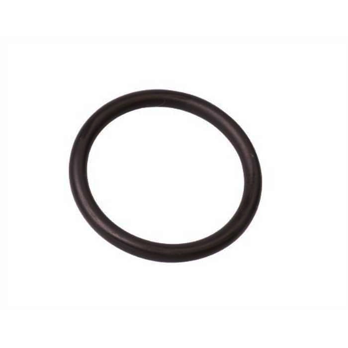 Oase O-ring Viton 42 x 5 SH50 ingevet