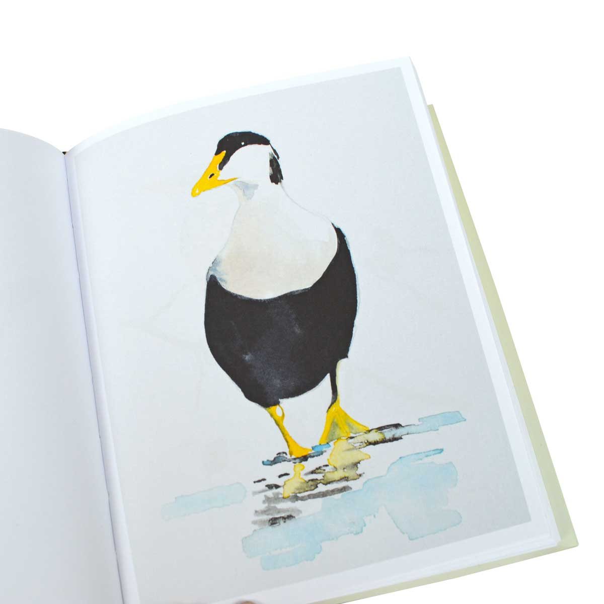 Birds (Hardback)