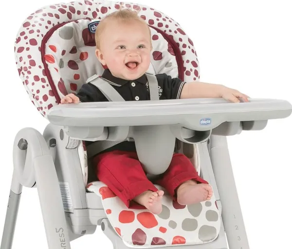 Chicco Polly Progress5 Anthracite