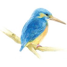Crayons de couleur 'IROJITEN' - Seascape, set de 30