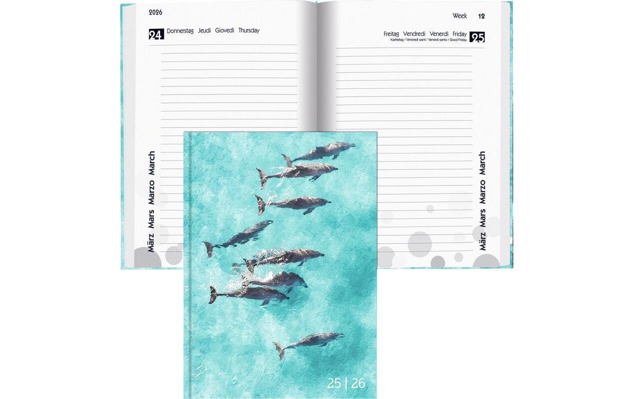 Schüleragenda Mydiary Animal 25/26 FSC, 1T/1S, 12 x 16.5 cmModerner Terminplaner für Jugendliche
