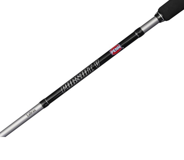 Kit canne Penn Loup de mer Pursuit V Labrax (2.44m/20g-50g)