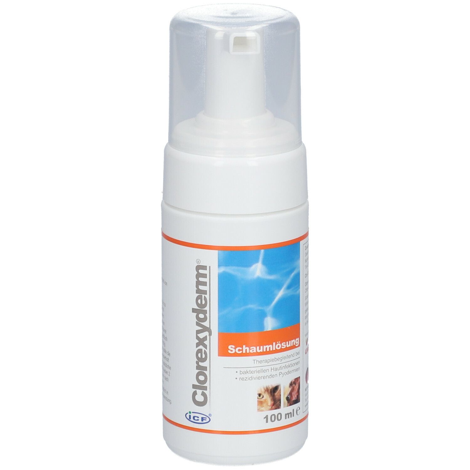 Clorexyderm® Schaumlösung