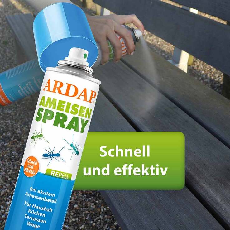 Ardap Repell Ameisenspray, 400 ml