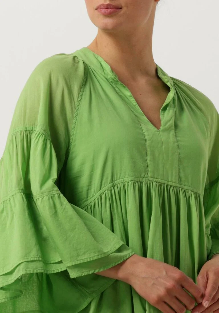 NEMA groene nema mini jurk ruza