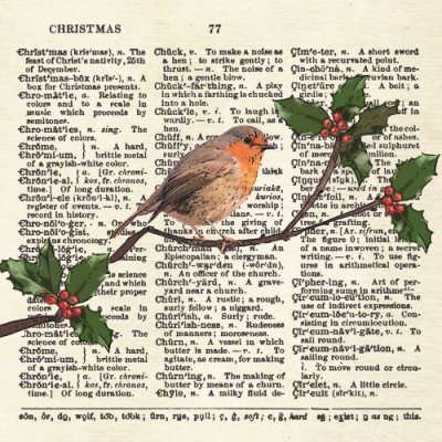 Robin In Holly Greetings Card