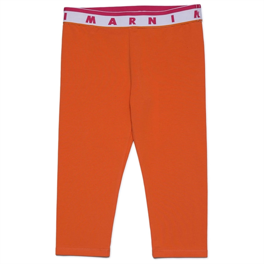 Nectarine Leggings - Marni → Luksusbaby.dk