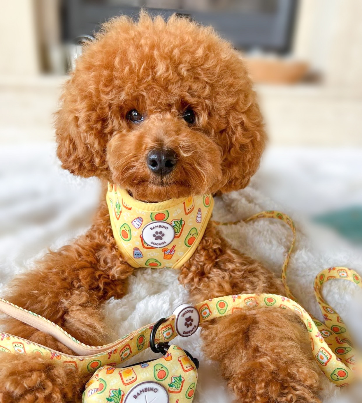 Coleira ajustável para cães com tema de café da manhã