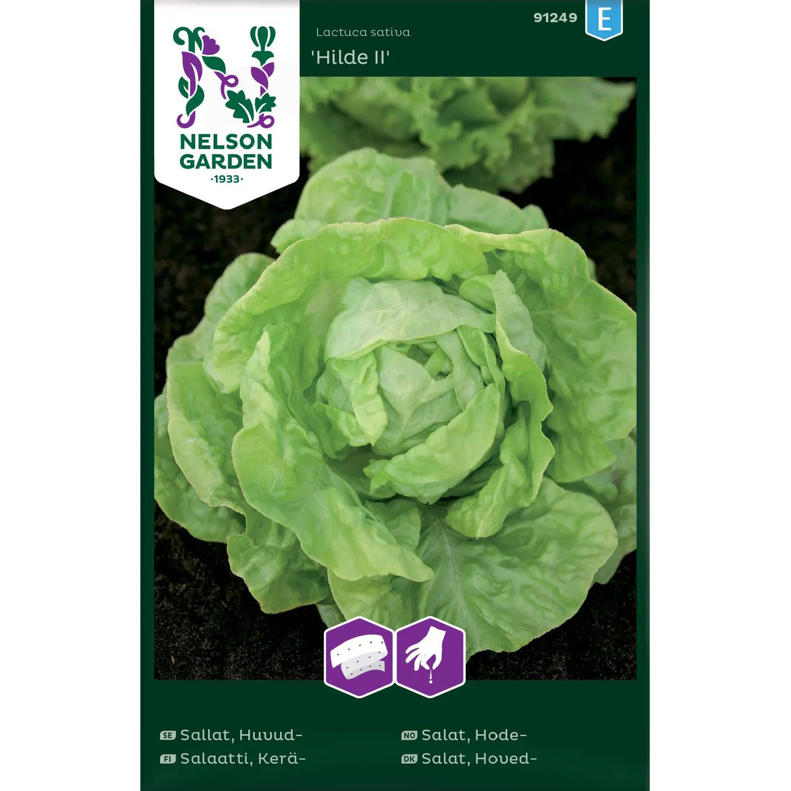 Lactuca sativa 'Hilde II' Hodesalat 'Hilde II'