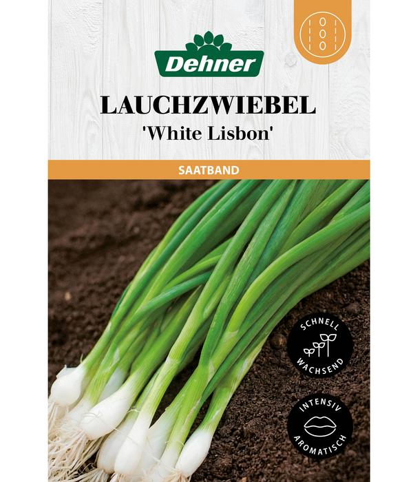 Dehner Saatband Lauchzwiebel 'White Lisbon',