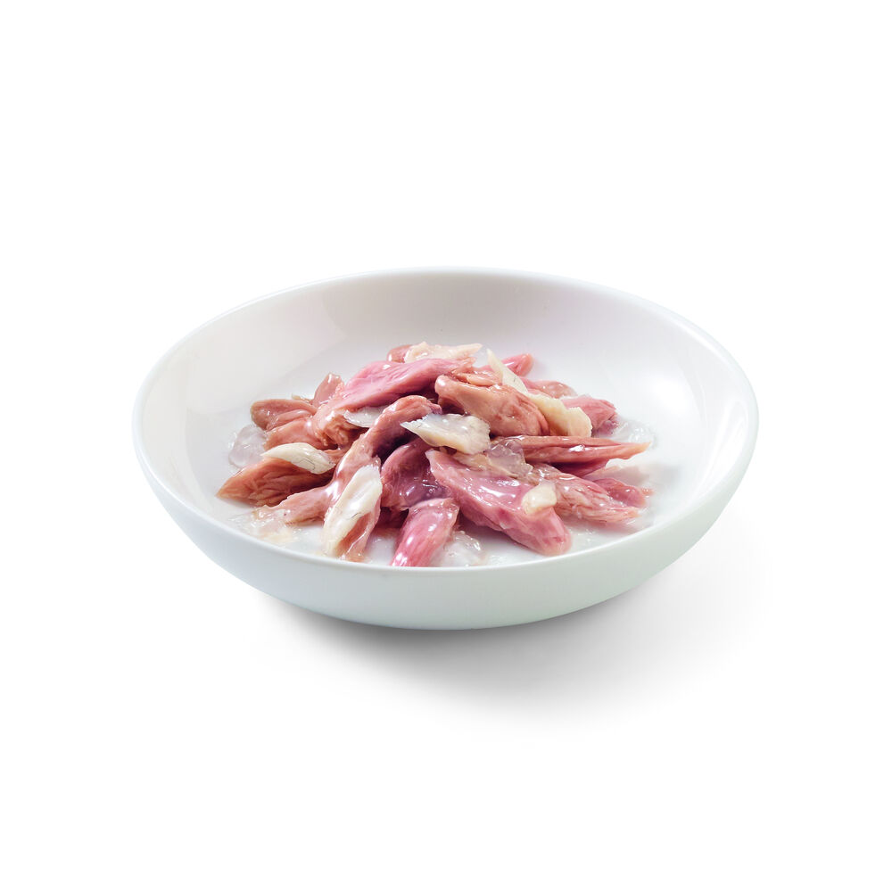 Schesir - Kattenvoer - 85 Gram - tonijn en zeebarbeel