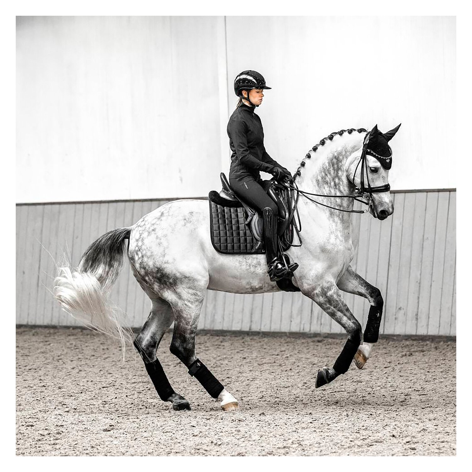 LeMieux Core Schabracke Loire Classic Satin  - black - Warmblut/Springen