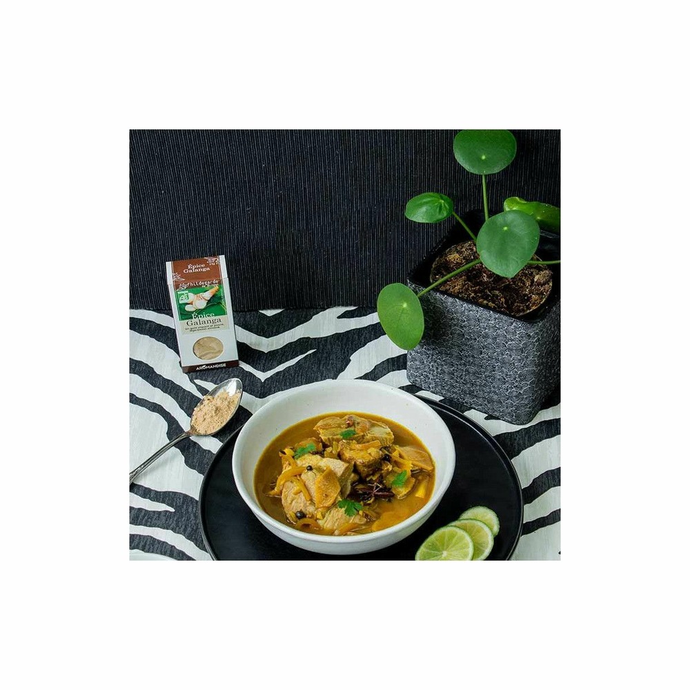 Poudre de galanga bio 140 g