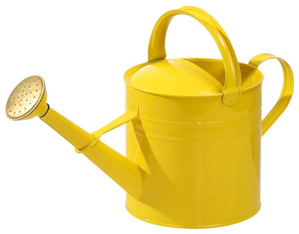 Dehner Zink-Gießkanne, 5 l