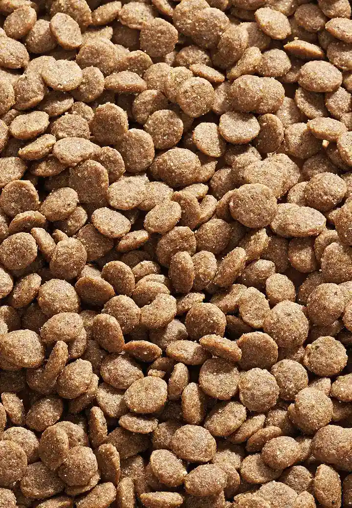 Cat Low Protein