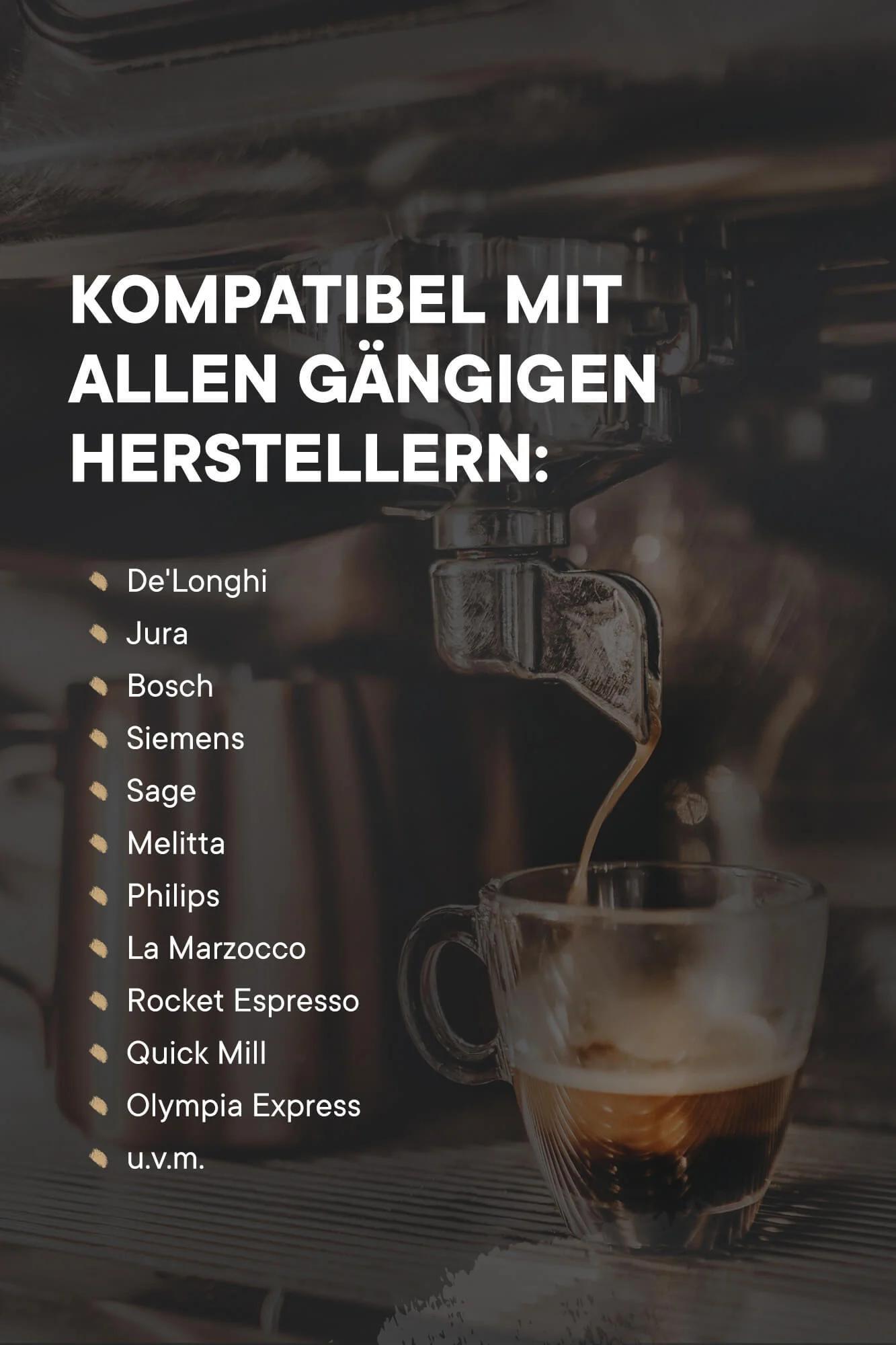 roastmarket Premium Entkalker