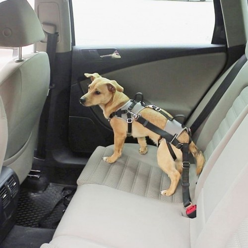 Cinto de segurança cinza para cães em carro
