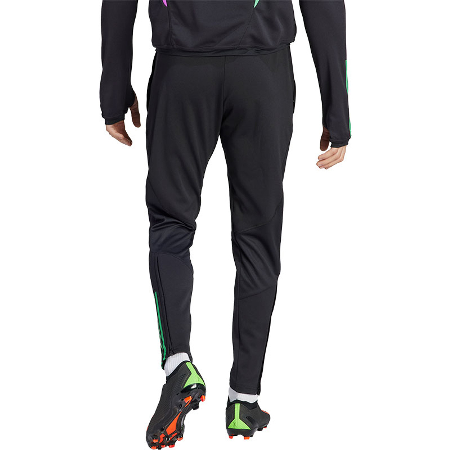 adidas Bayern München Training Pant 2023/2024
