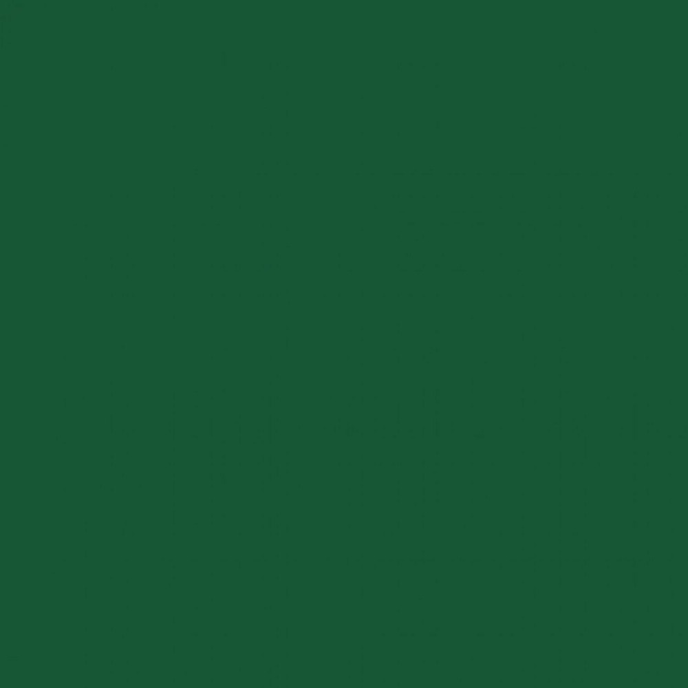 Peinture acrylique opaque brillante - vert foncé - 45 ml