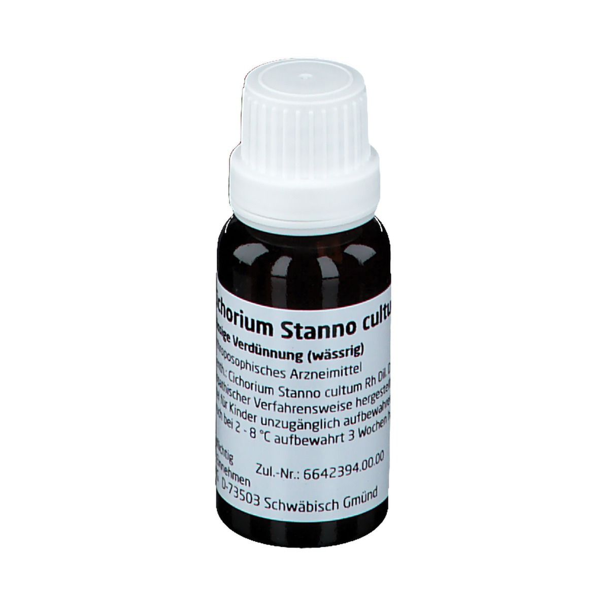 Cichorium Stanno cultum Rh D3
