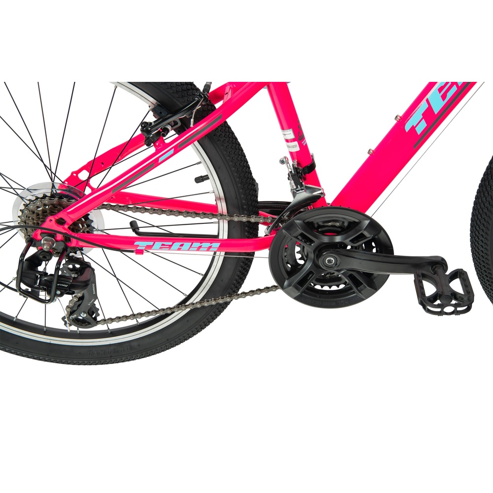 24-Zoll-Team-FTB-Mountainbike, Pink