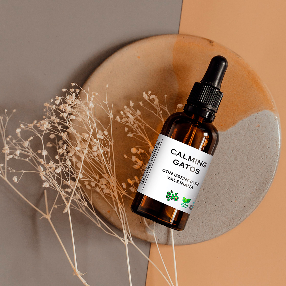 Acalmando gatos com essência de valeriana