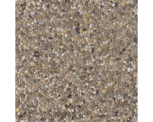 Betonplaat met uitgewassen steenslag, Rijngrind 8/16 mm, 40 x 40 x 4 cm