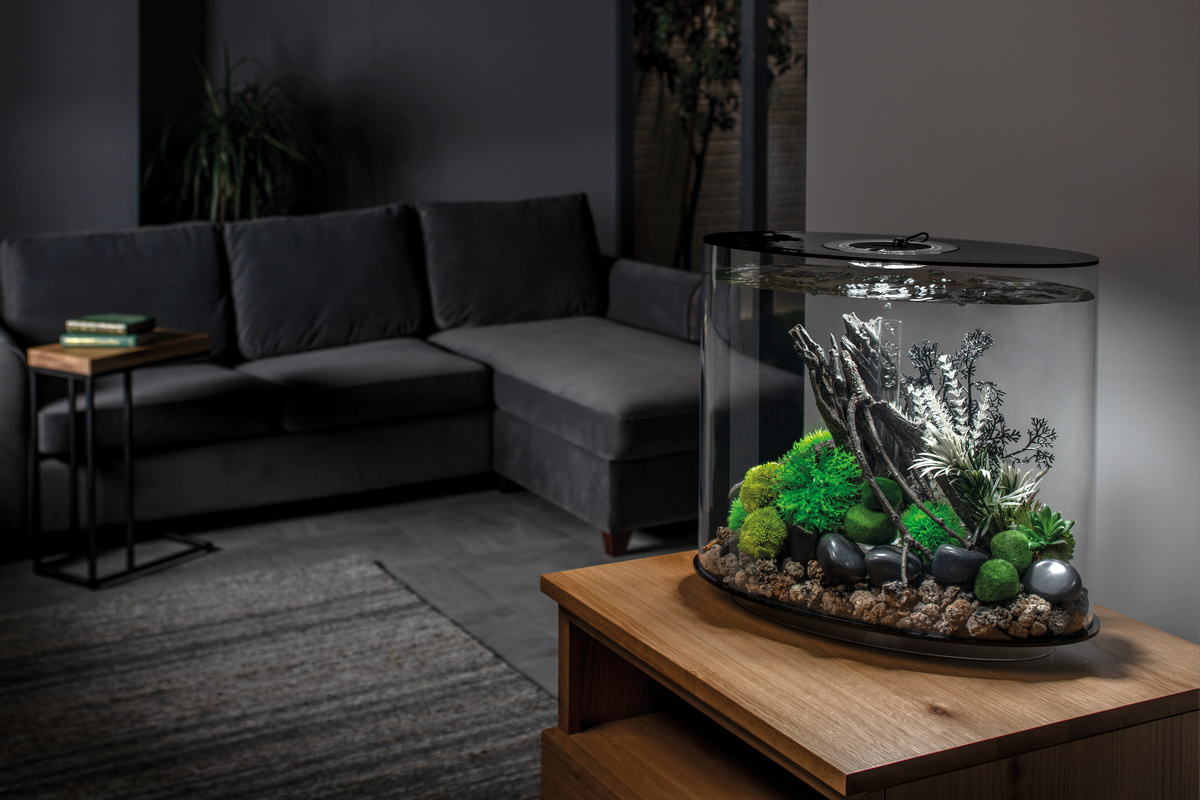 BiOrb LOOP 30 MCR Zwart | Aquarium van klein formaat