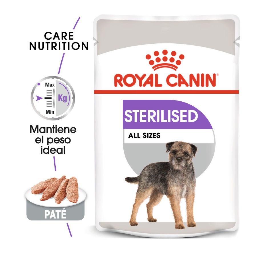 Sachês esterilizados de patê para cães Royal Canin