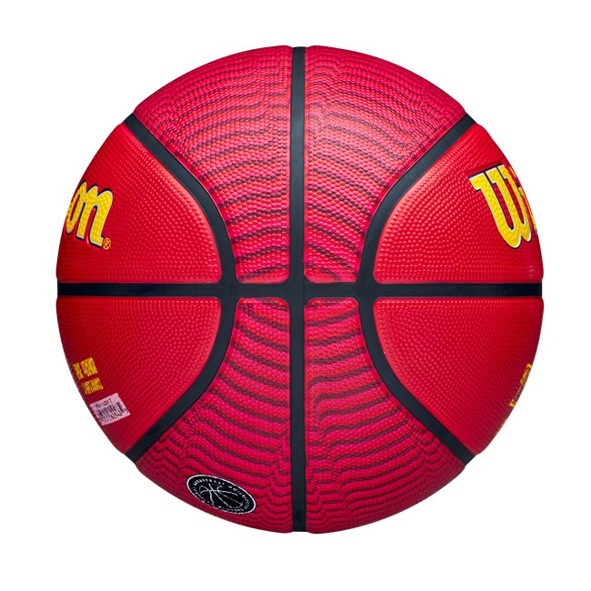 NBA Player Icon Outdoor Basketball – Trae