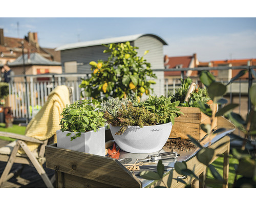 Lechuza Cubeto Stone 30 kwarts witte bloemenschaal