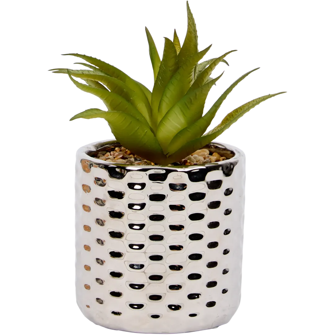 Kunstvetplant in pot Diverse varianten