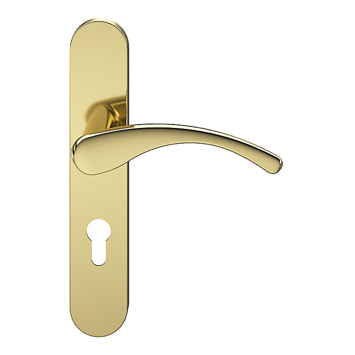 Ensemble poignée sur plaque rondcylindre GoodHome Ruis effet laiton doré L.138.5mm x l.42mm entraxe 165-195mm