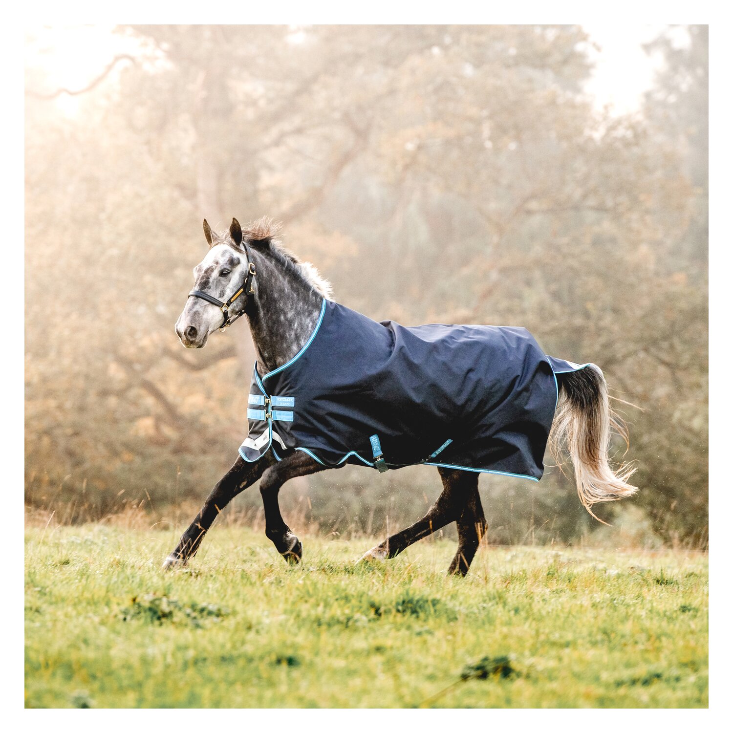 Horseware Regendecke AMIGO Bravo 12 Lite 100 - navy/turquoise/check