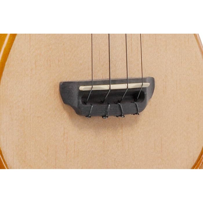 Ibanez AUT10 Open Pore Natural tenor ukelele met gigbag