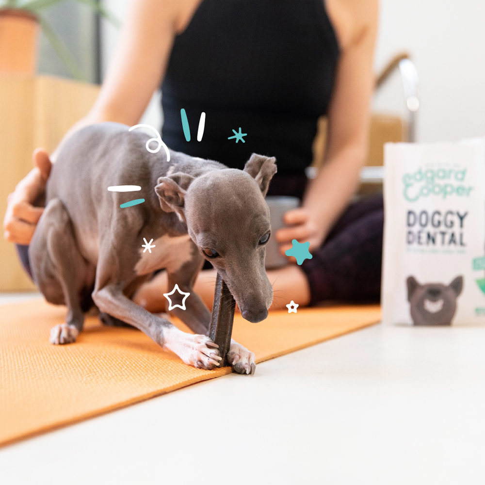 Edgard & Cooper Doggy Dental - Munt & Aardbei