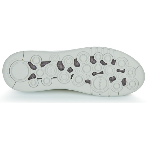 Geox - D AERANTIS - Blanc / Camel