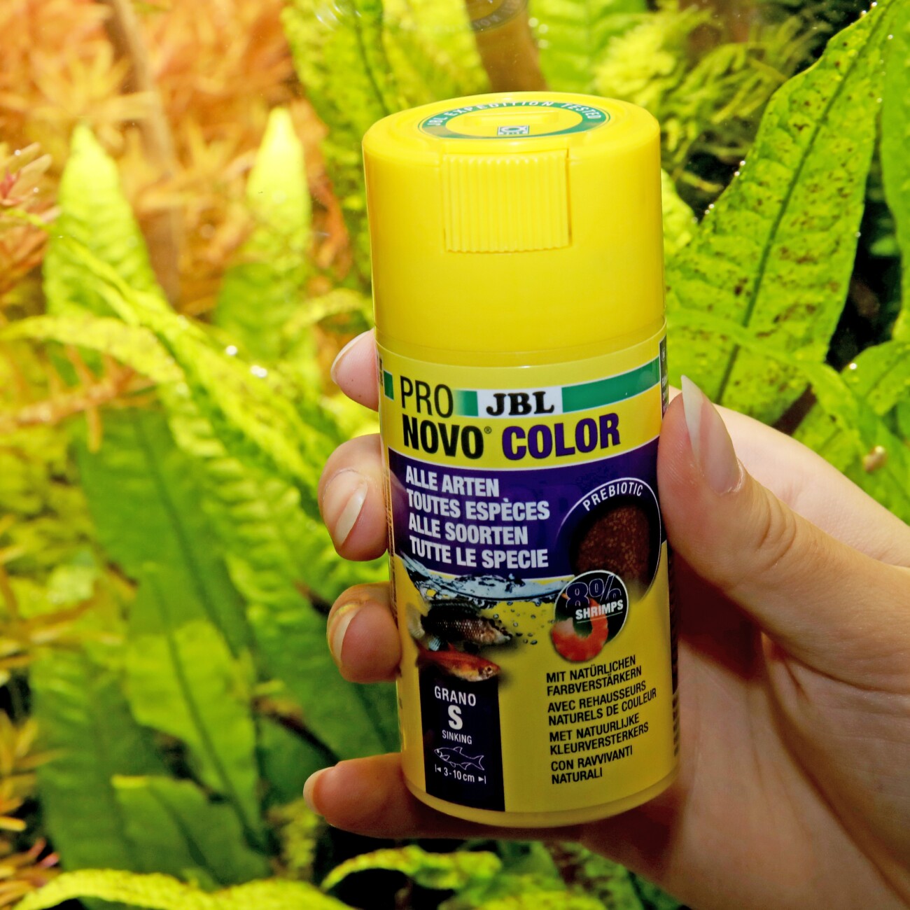 JBL PRONOVO Color Grano S 100ml
