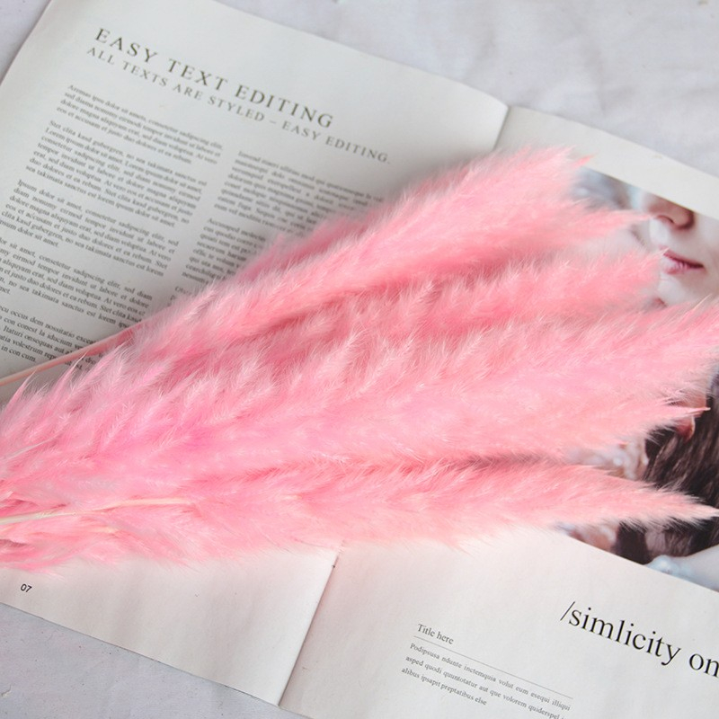 (30er Set) 60cm Deko Pampas Gras Boho Trockenblumen Hygge Lifestyle - Rosa