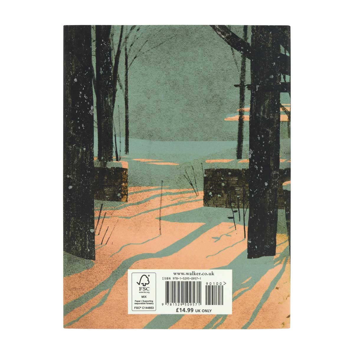 The Skull: A Tyrolean Folktale (Hardback)