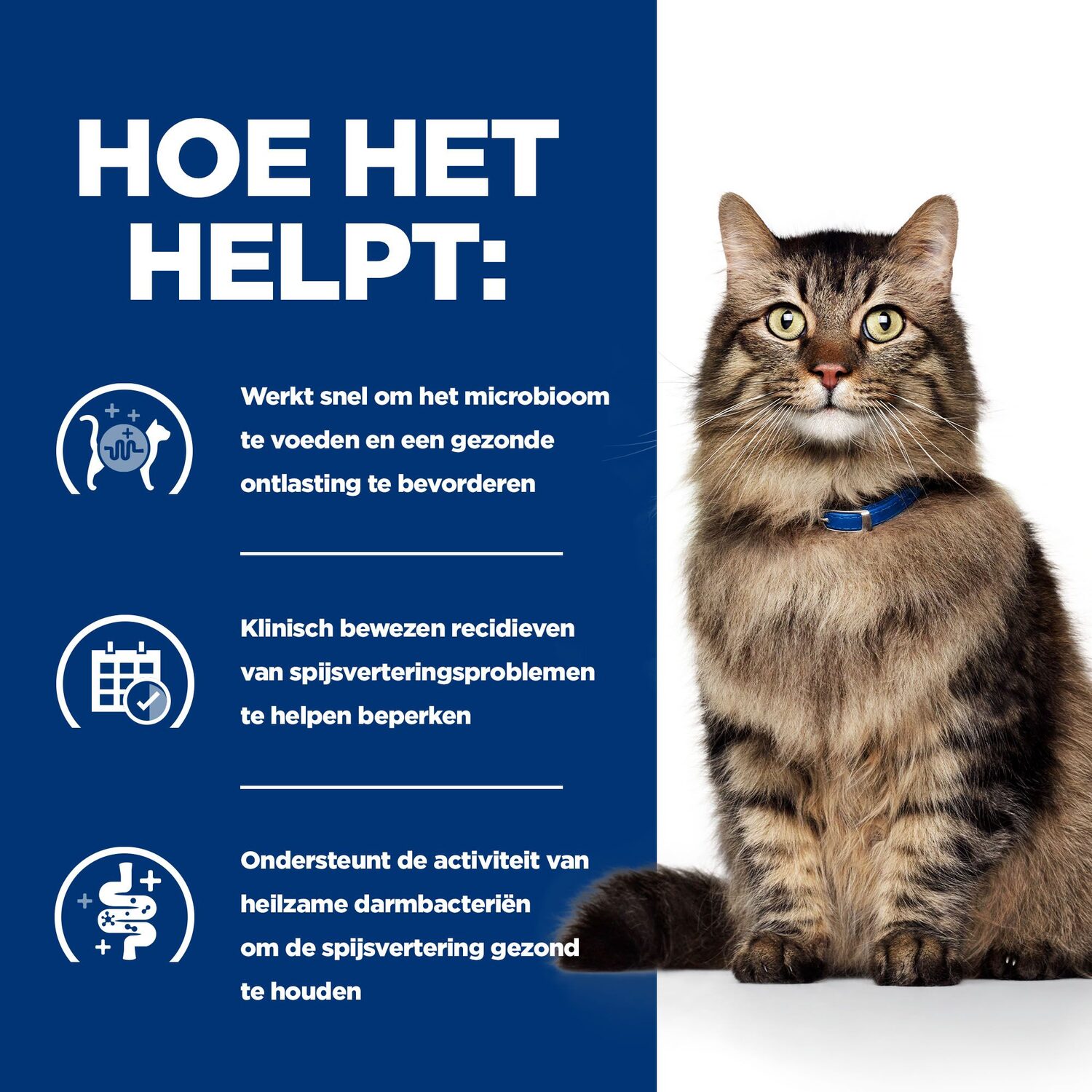 Hill's Prescription Diet - Gastrointestinal Biome - Stoofpotje Kattenvoer